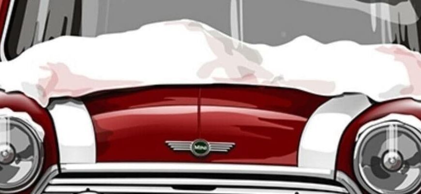 Автошуба: чем накрыть двигатель автомобиля зимой и особенности утепления 3 чем утеплить двигатель автомобиля зимой