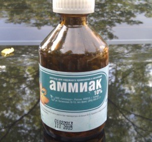Нашатырный спирт чем смыть тополиную смолу с машины